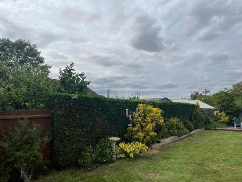 Fencing services in Glasgow by Oaklands Treecare