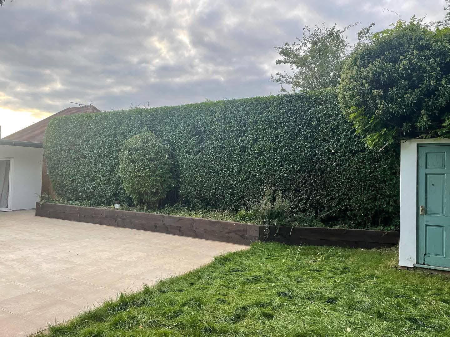 Garden with large hedge, timber edging and fresh lawn