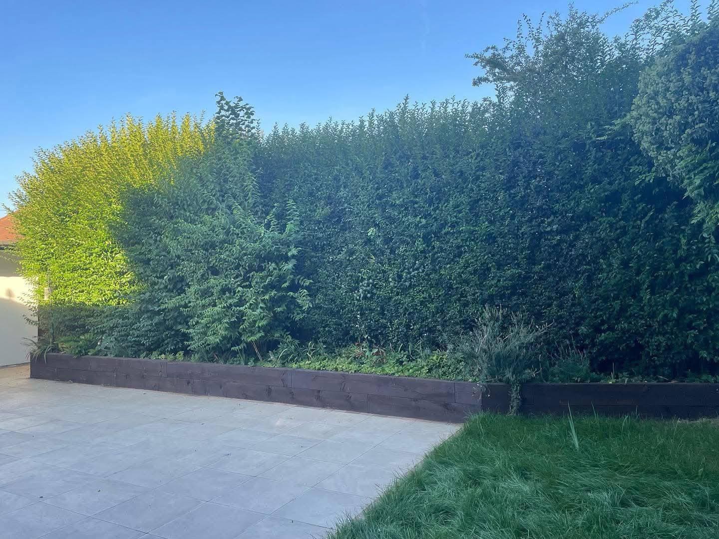 Timber retaining wall with hedge boundary in residential garden