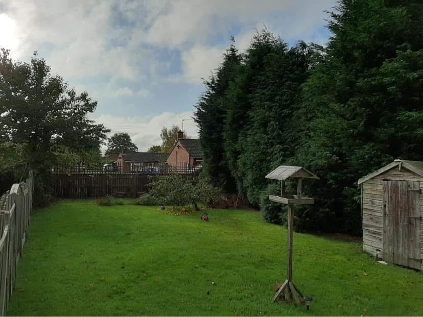 Garden tree care and pruning service