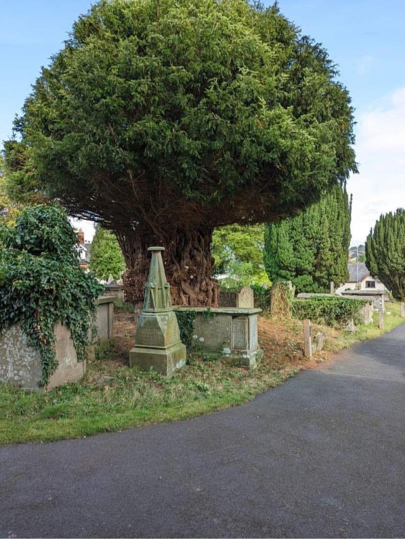 Oaklands Treecare team completing a landscaping project in Glasgow, West Dunbartonshire
